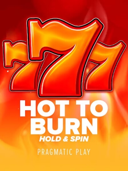 Exploring Exclusive Features of LotteryBet Hub for Players