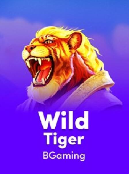 High Stakes and High Rewards: The Blackjack VIP Room Experience